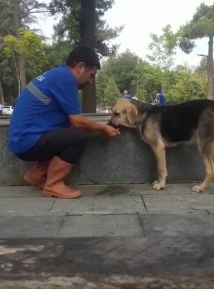 Susuz kalan köpeğe eliyle su içirdi
