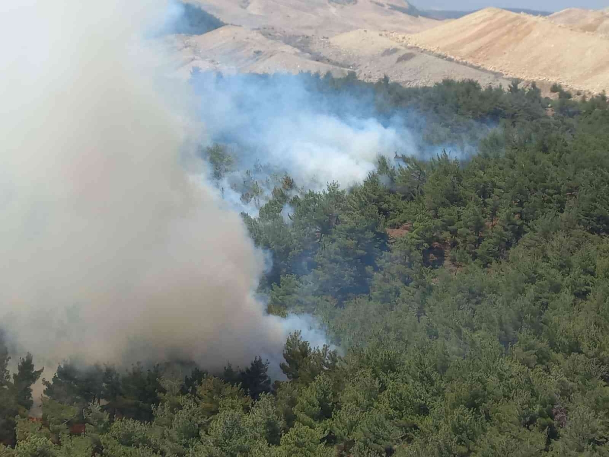 Soma’da orman yangını
