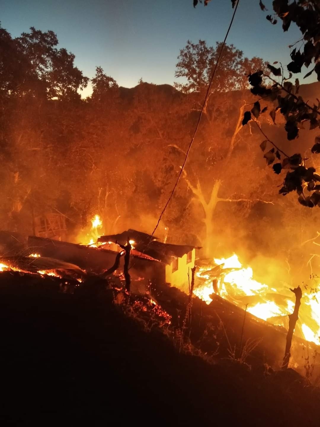 Artvin’de çıkan yangında 3 ev yandı, 14 büyükbaş hayvan telef oldu
