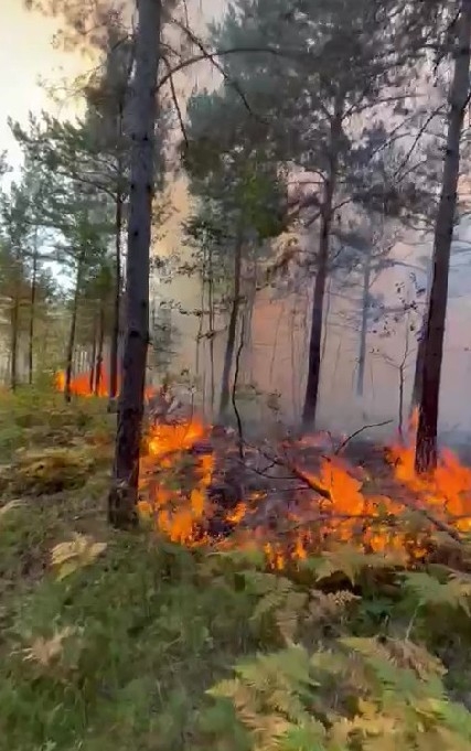 Tokat’ta aynı yerde ikinci kez orman yangını çıktı
