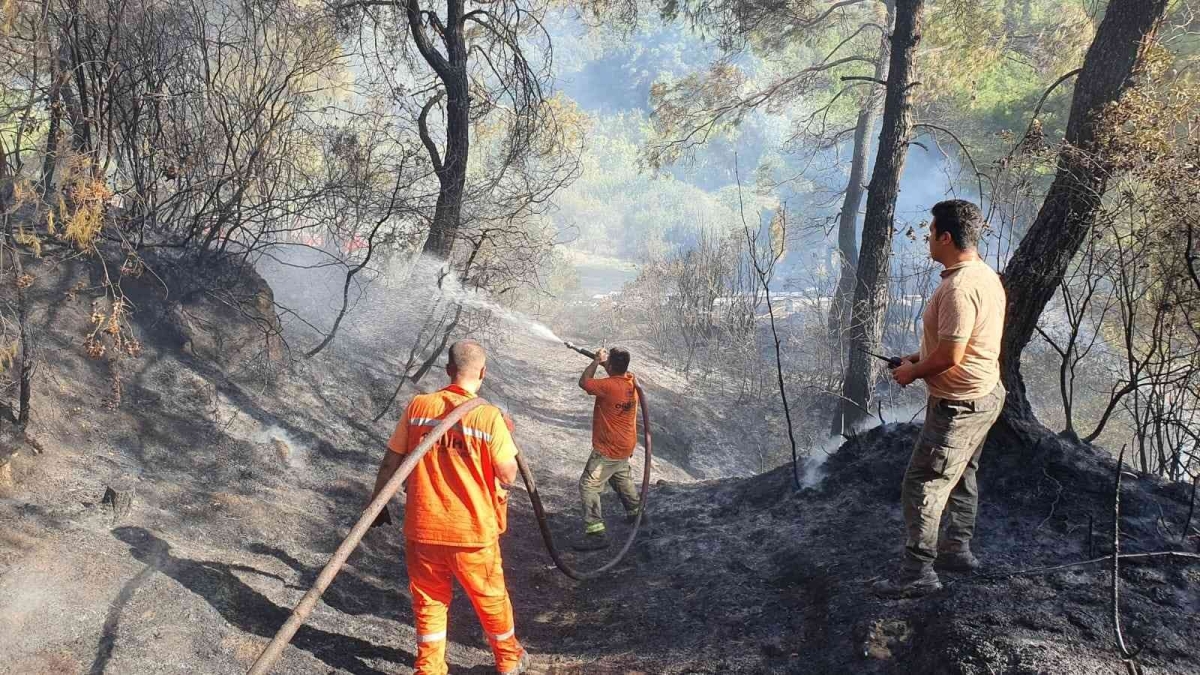 Salihli’de çıkan orman yangını kontrol altına alındı
