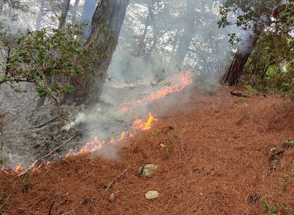 Amanos Dağları’na düşen yıldırım orman yangınına neden oldu
