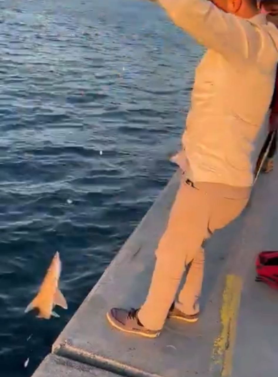 Beykoz’da şaşkına çeviren olay: Vatandaşın oltasına köpek balığı takıldı
