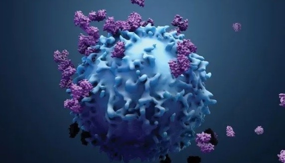 Güçlü bir bağışıklık sistemi, kanseri durdurabilir mi
