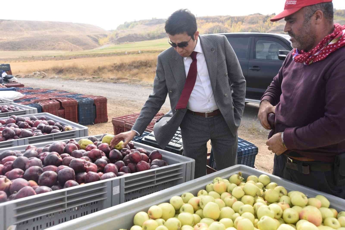 Ahlat elması yurt dışı pazarında
