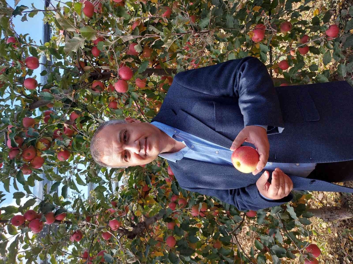 Elma üretimi yatırımlarla artırılacak
