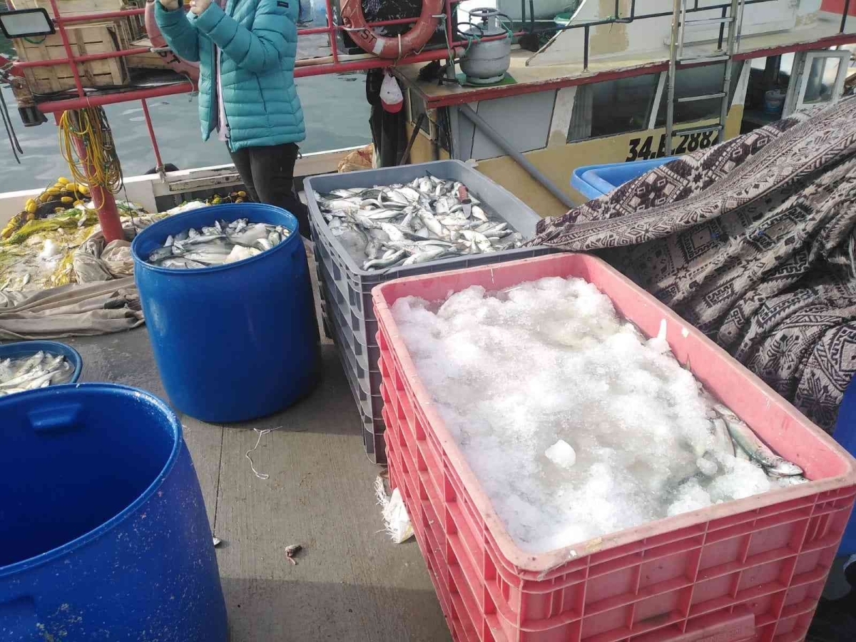 Sahil kenarlarında yasadışı  ticari balık avcılığı yapanlara 30 bin TL para cezası kesildi
