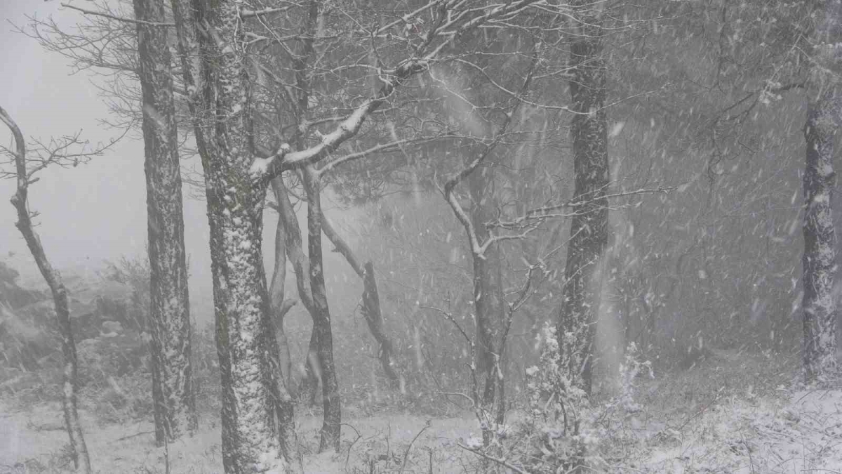 Beklenen kar yağışı Anadolu Yakası’nda başladı
