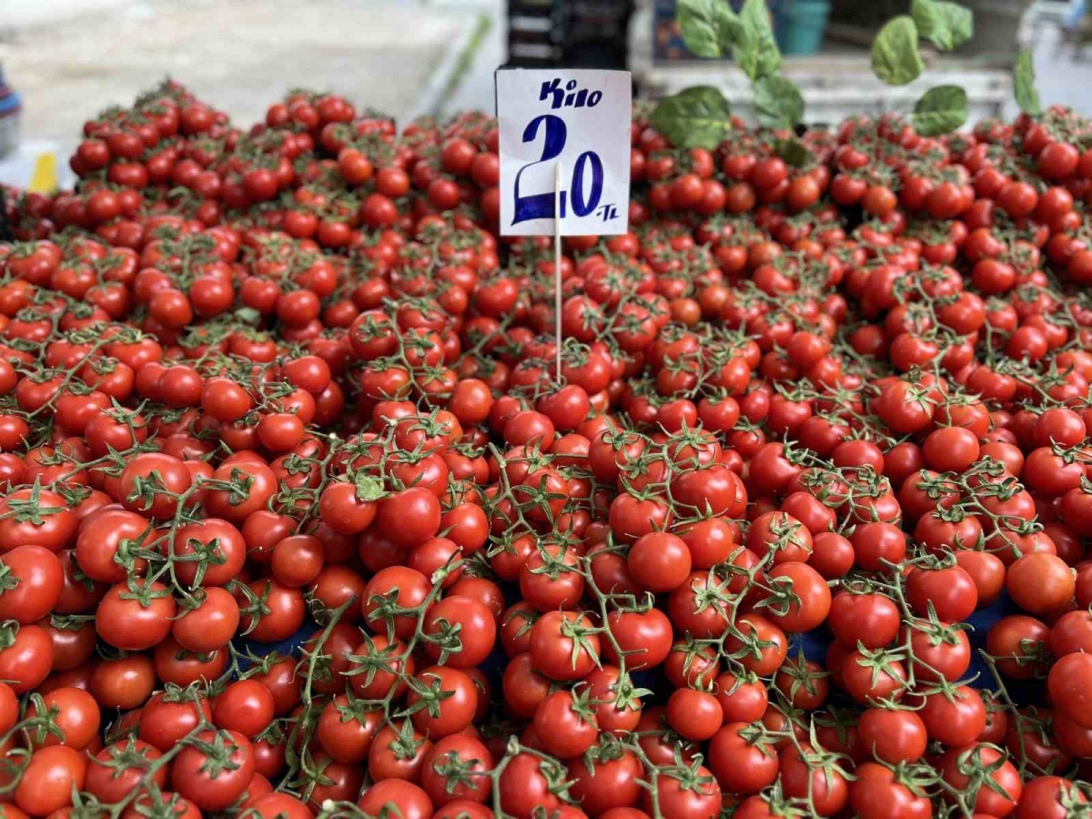 İhracat kısıtlaması getirilen domatesin fiyatı yüzde 40 düştü
