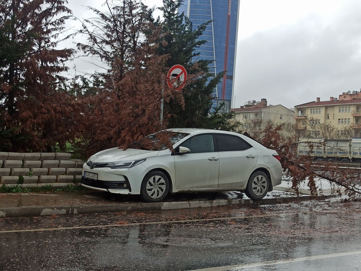 İstanbul’da etkili olan şiddetli rüzgar ağaçları devirdi
