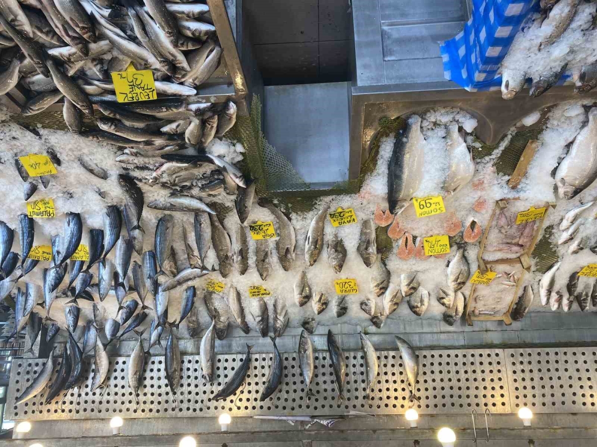 Balık fiyatları düştü, Karadeniz somonu 300 yerine 100 liradan satılıyor
