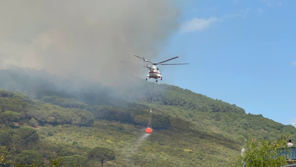 Başıbüyük Ormanı’nda çıkan yangına itfaiye ve helikopter müdahale ediyor
