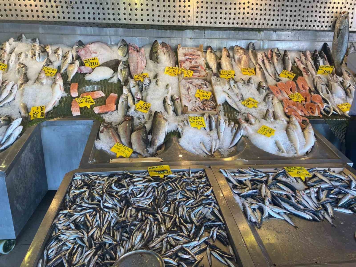 Balıkçılardan ucuz mazot desteği ve hal giderlerinin düşürülmesi çağrısı
