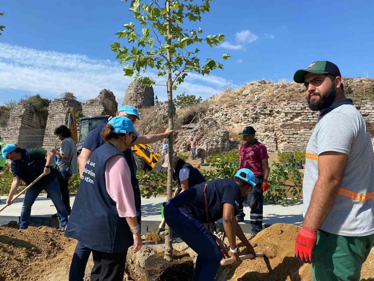 Fatih Belediyesi BM Gönüllüleri ile beraber ağaç dikme töreni düzenledi
