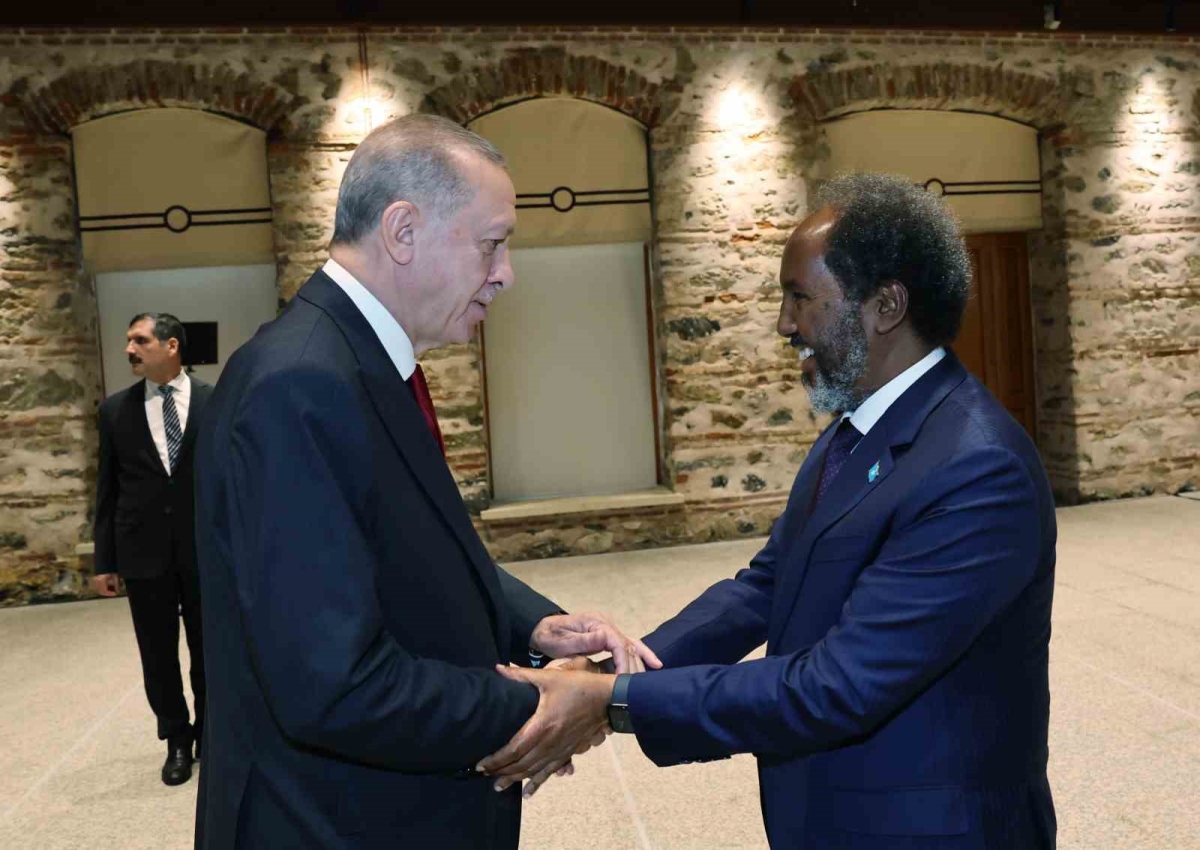 Cumhurbaşkanı Erdoğan, Somalili mevkidaşı Hasan Şeyh Mahmud ile görüştü
