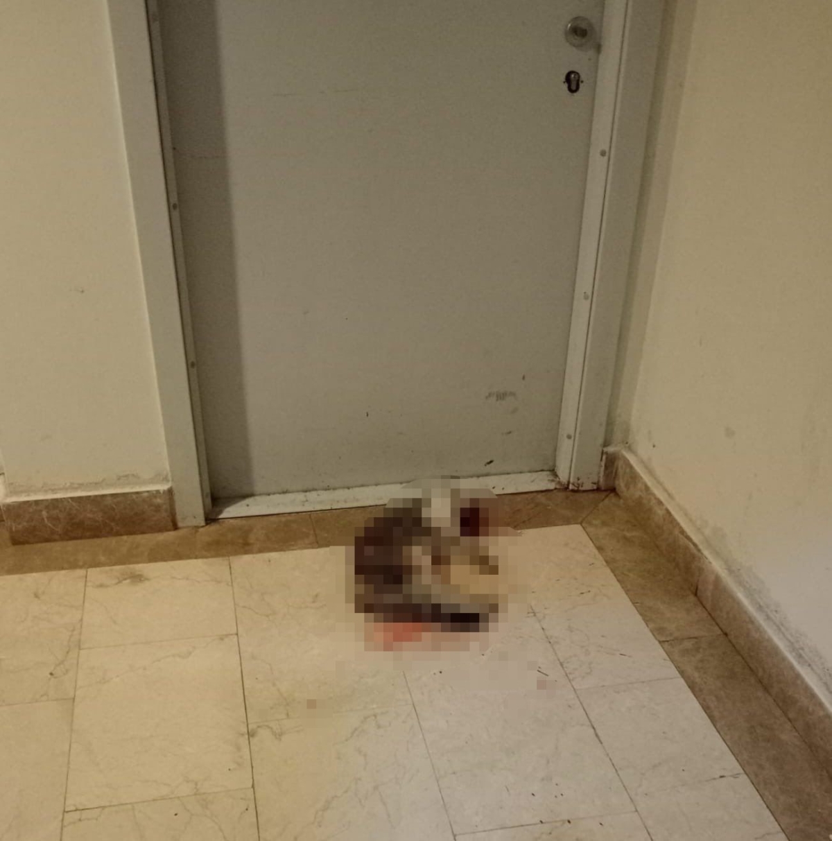 Kedi Eros’u darp ederek öldüren İbrahim Keloğlan hakkındaki karar kaldırıldı
