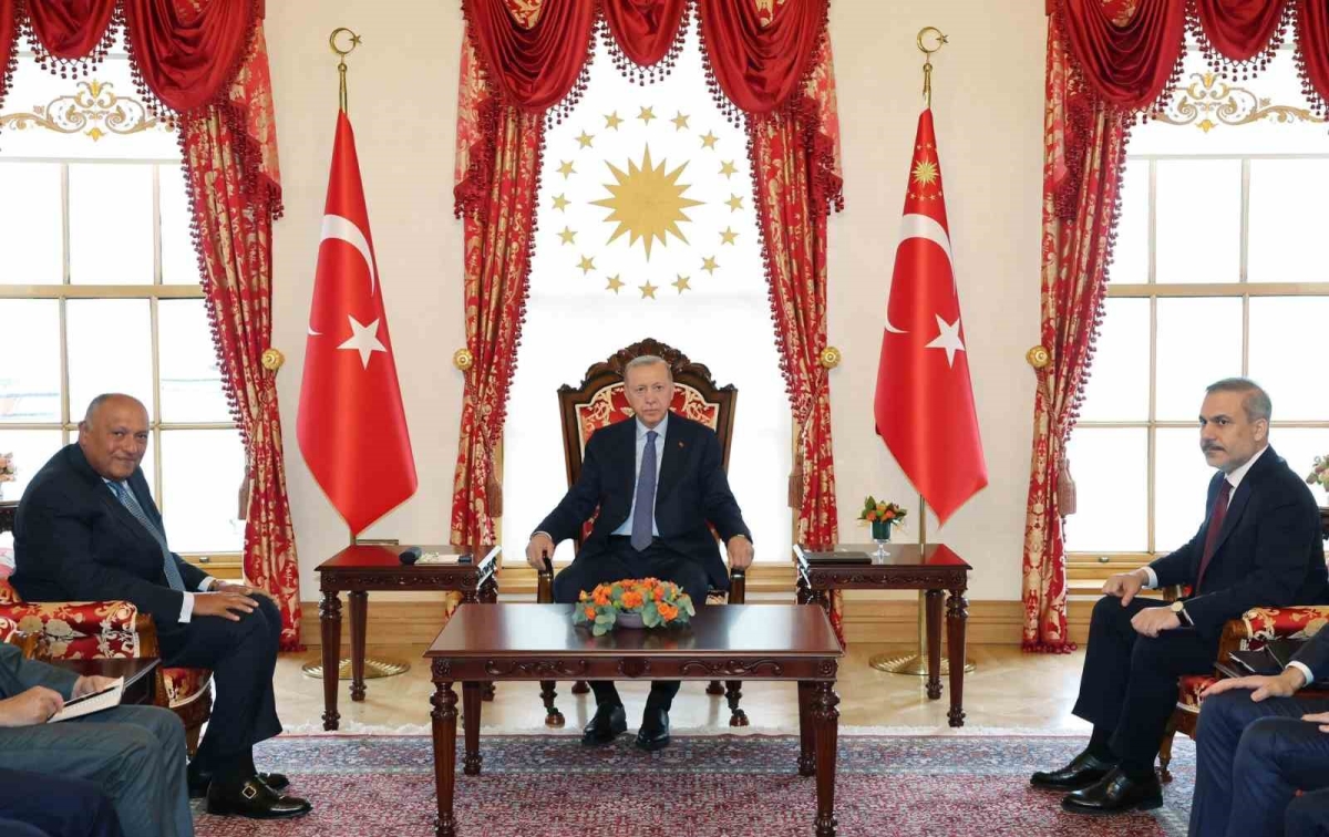 Cumhurbaşkanı Erdoğan, Mısır Dışişleri Bakanı Şukri’yi kabul etti
