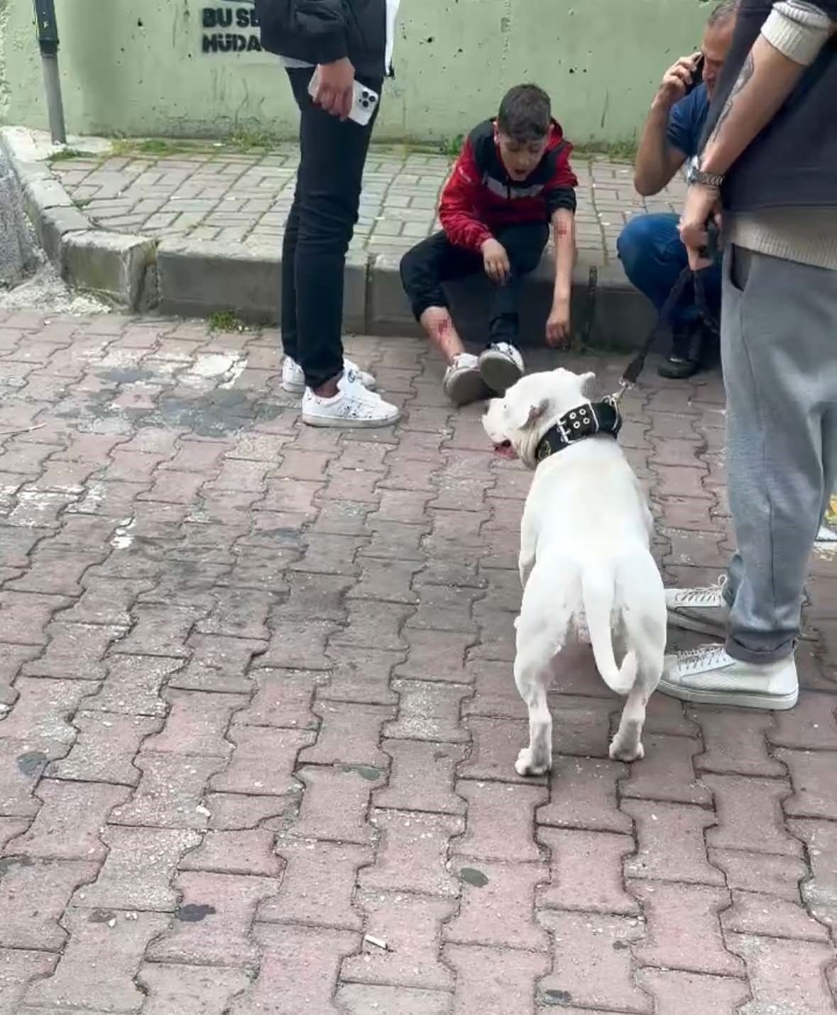 Kağıthane’de mezarlıkta başıboş bir köpek 12 yaşındaki çocuğu ısırdı
