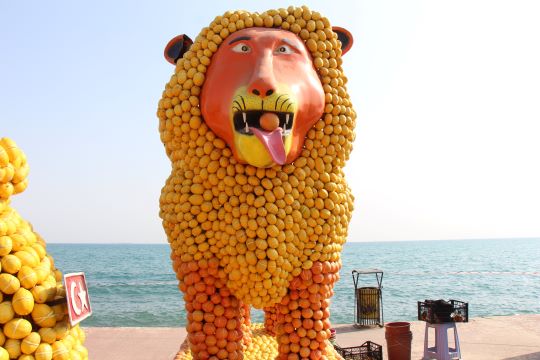 Mersin Narenciye Festivali Galatasaray Meydanı’nda yapılacak